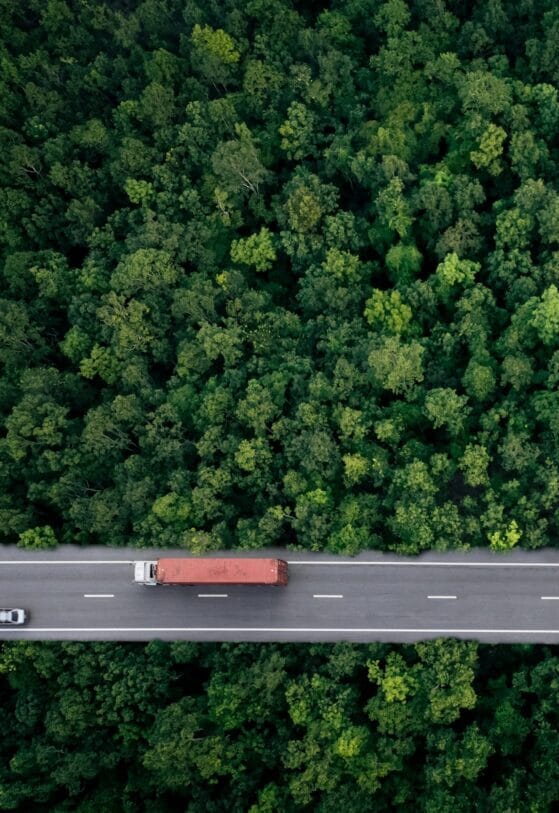 Aerial view of a road running through a dense green forest